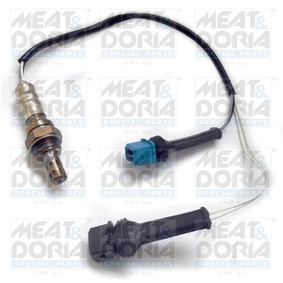 Oxygen Sensor